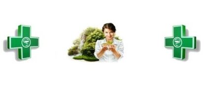 Methoden zur Behandlung von im menschlichen Körper lebenden Parasiten