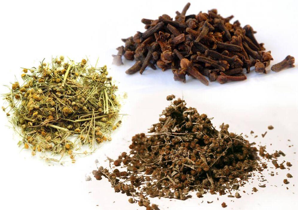 Wermut, Rainfarn und Nelken zur Bekämpfung von Parasiten